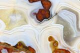 Polished Banded Agate Nodule Section - Kerrouchen, Morocco #181402-1